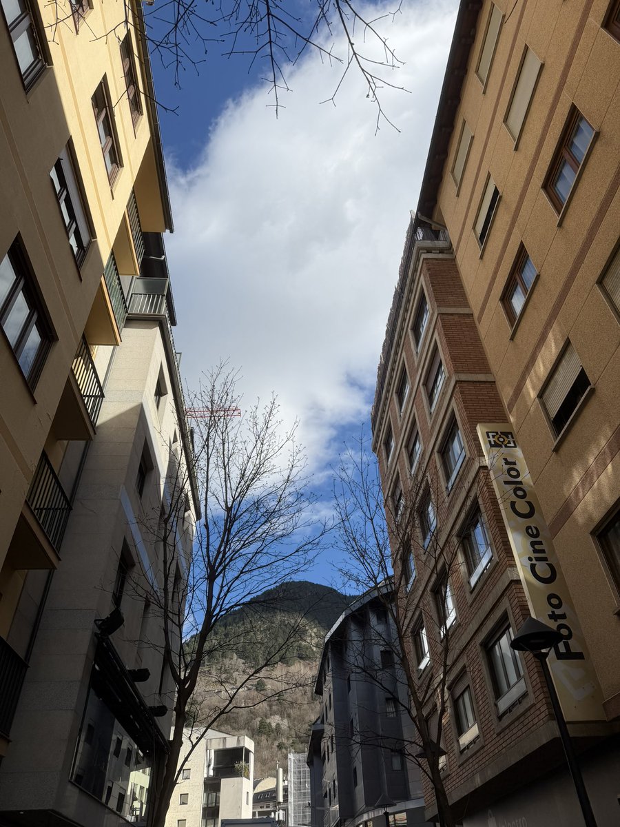 joan carles tweet media