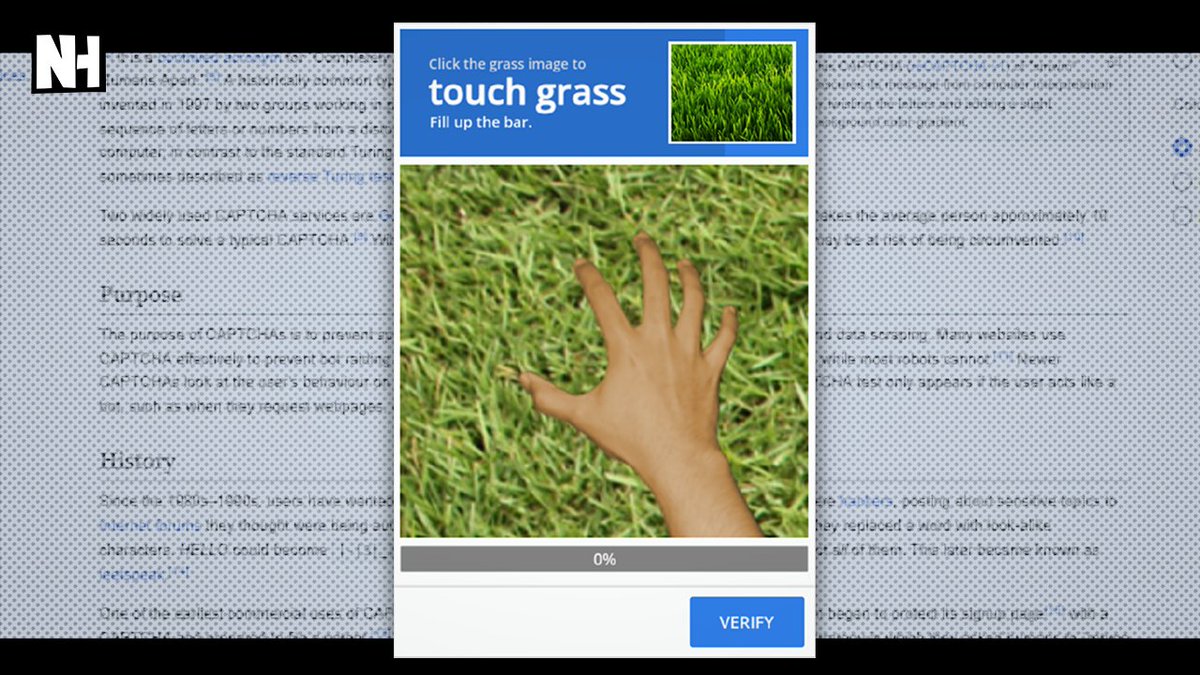 Nonsense🦋 tweet media