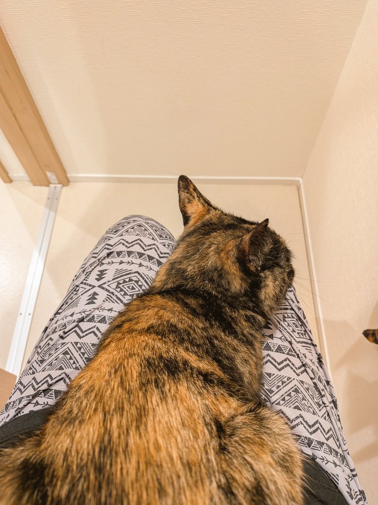 唐揚げおいしく tweet media