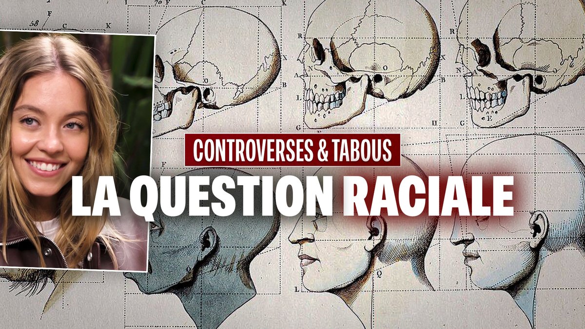 Miousette tweet media