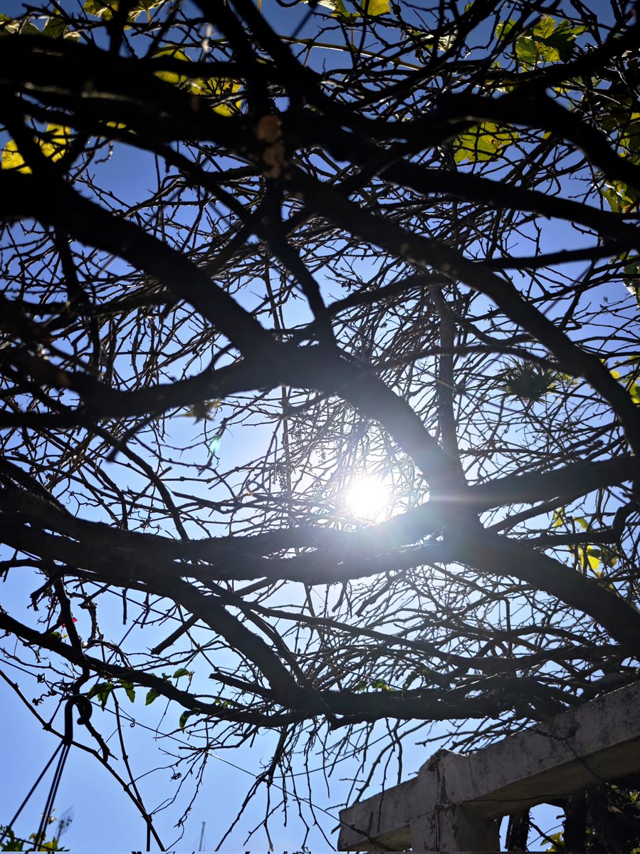 Enrique Amestoy tweet media