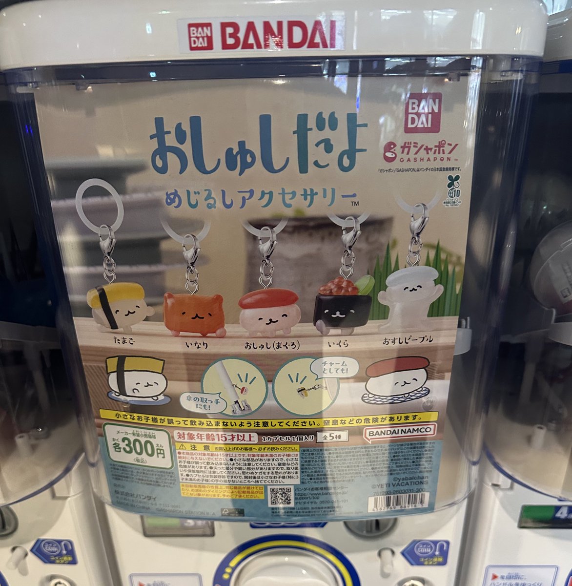 ぴょんす tweet media