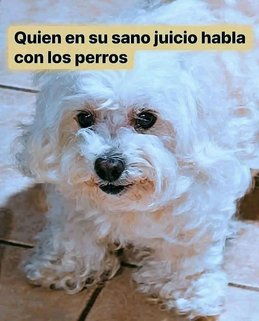 Sabueson tweet media