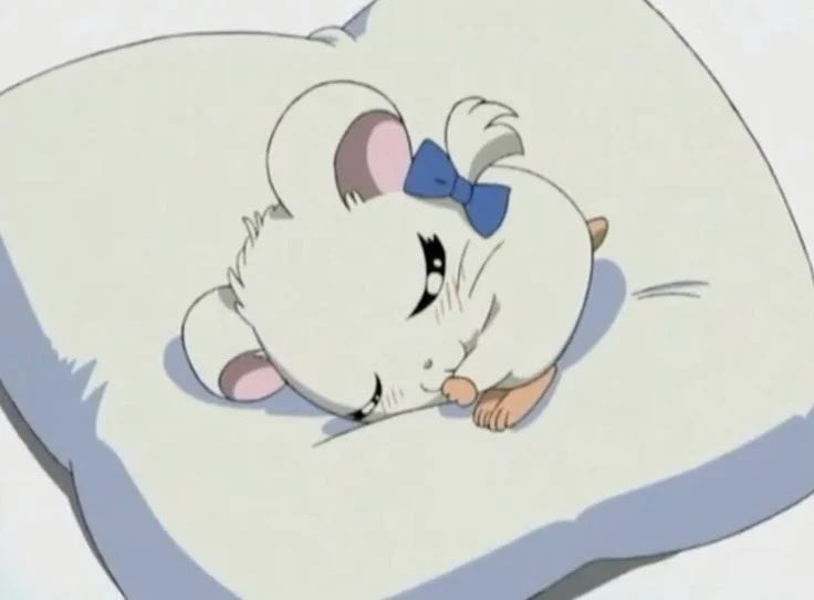 조랭이 tweet media