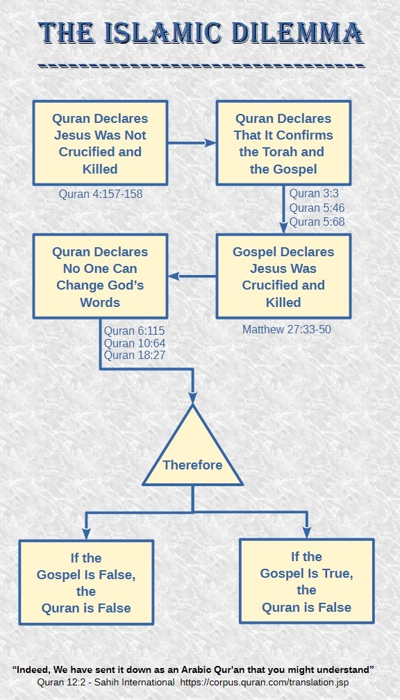 Question Question Everything tweet media