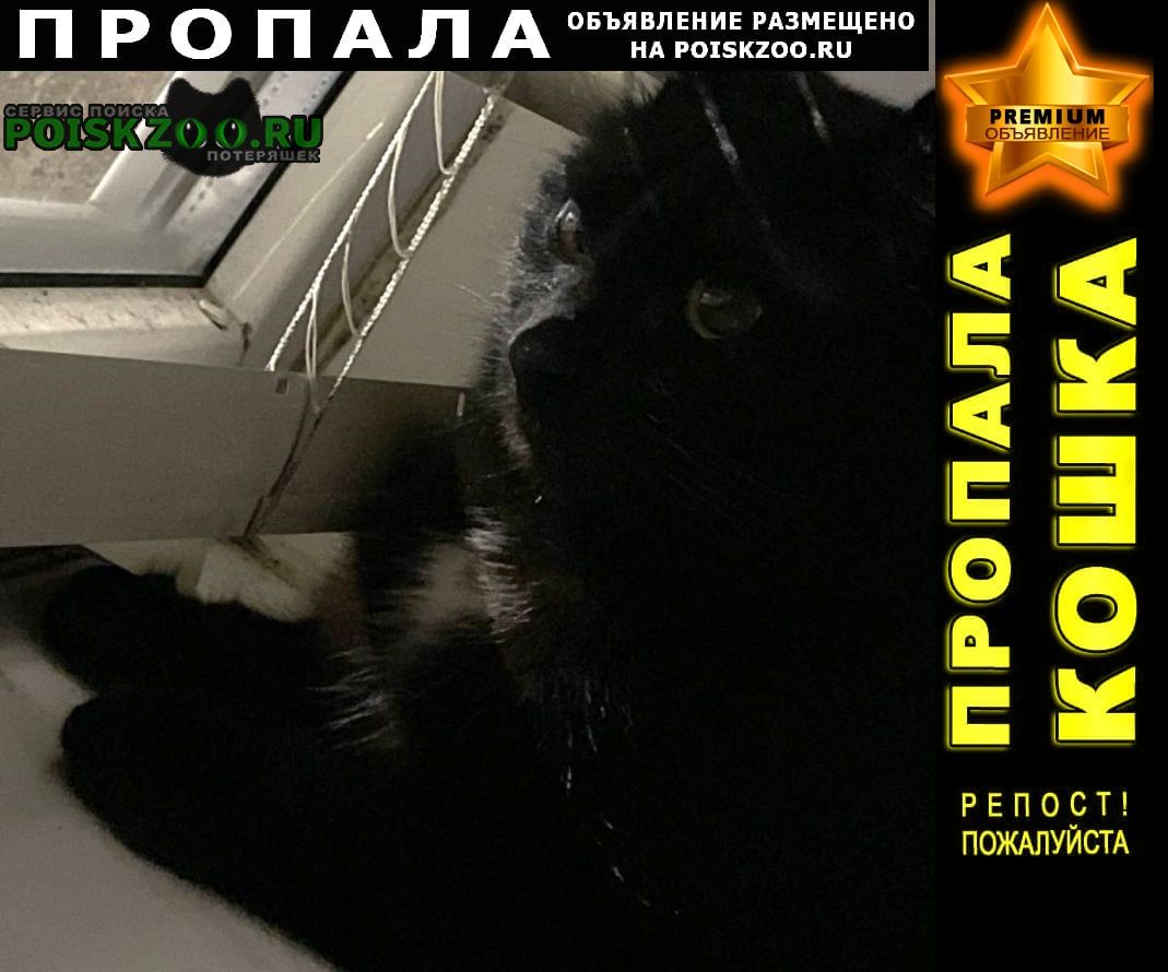 POISKZOO.RU™ tweet media