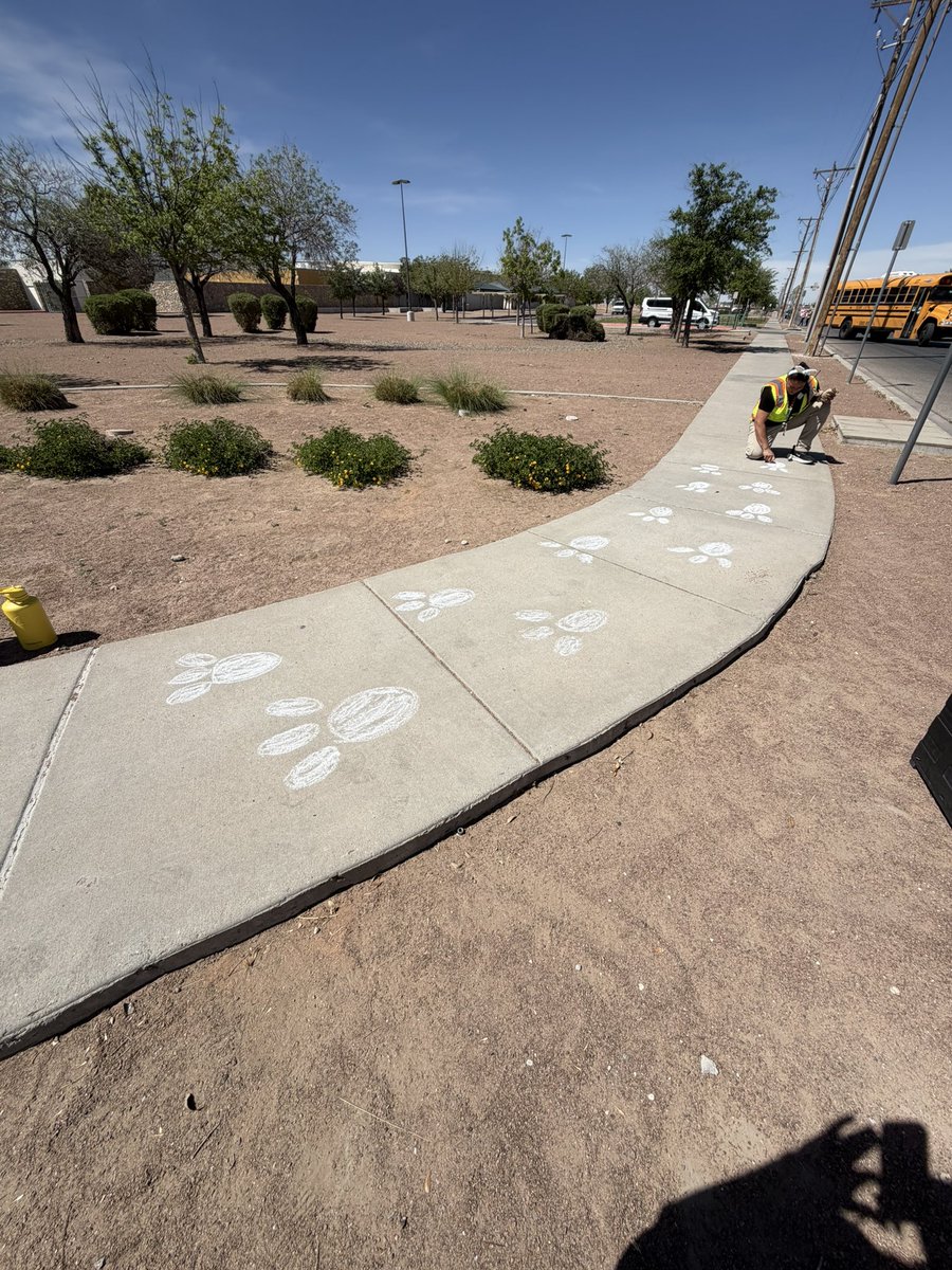 Bianca☘️💚 tweet media