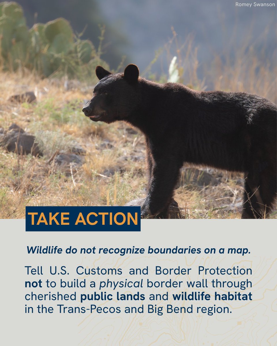 National Wildlife Federation Action Fund tweet media
