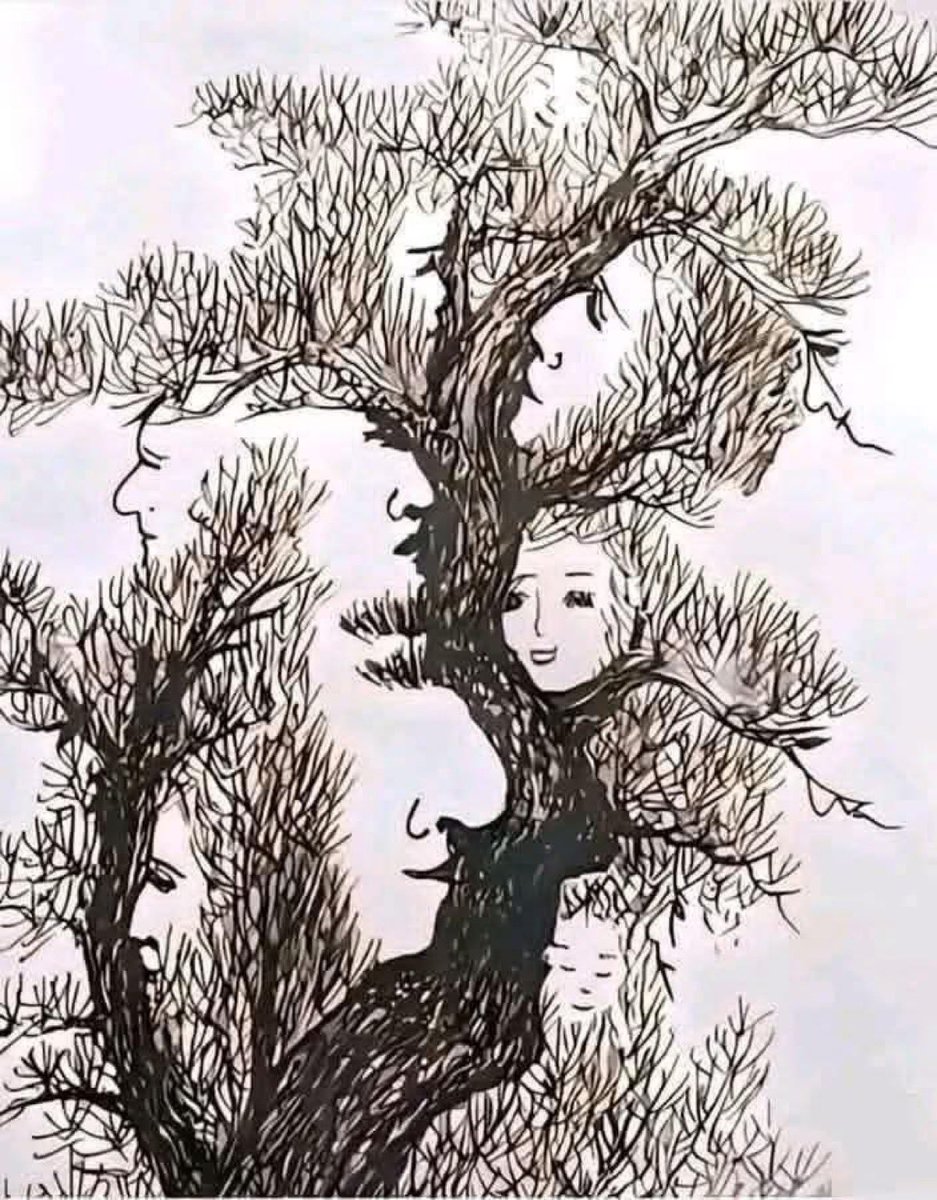 سقراط🌟 tweet media