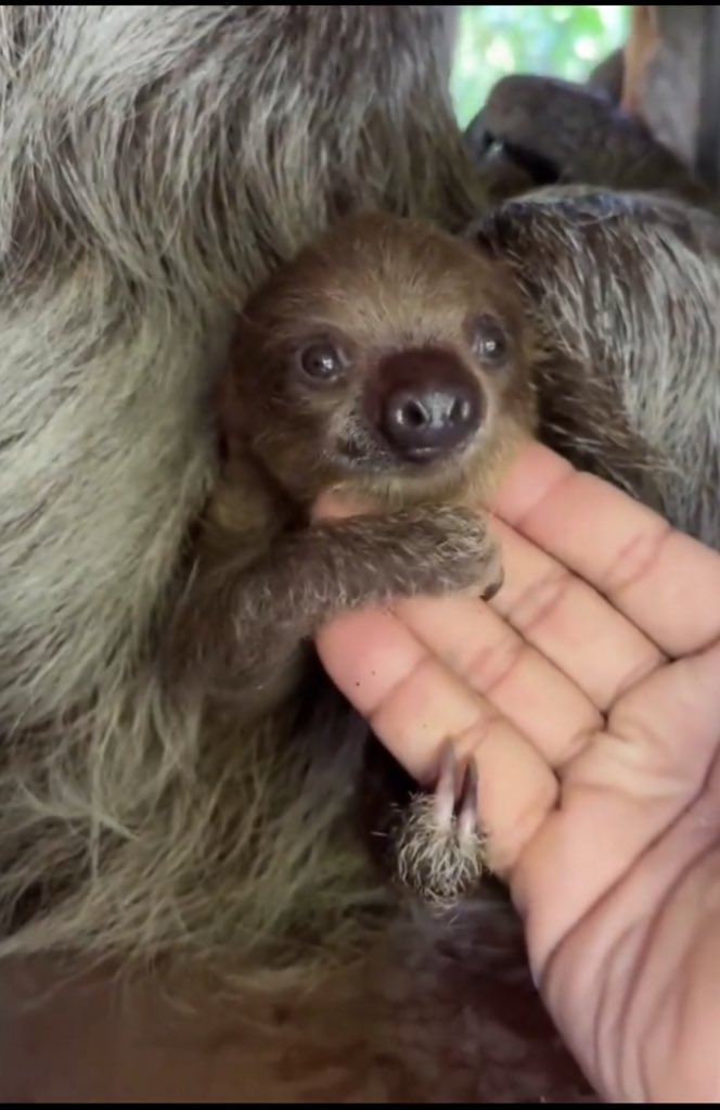 💰𝕭-𝕸𝖔𝖓𝖊𝖞 𝕮𝖗𝖞𝖕𝖙𝖔💰 tweet media