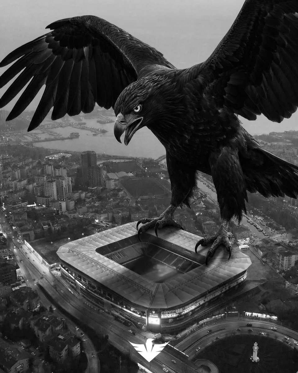 Haber Kartalı tweet media