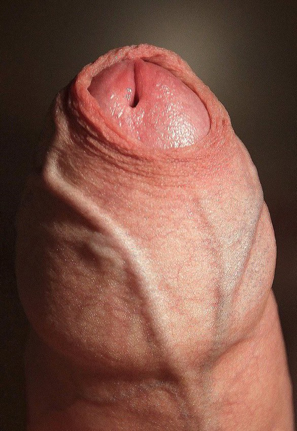 LegalGuy tweet media