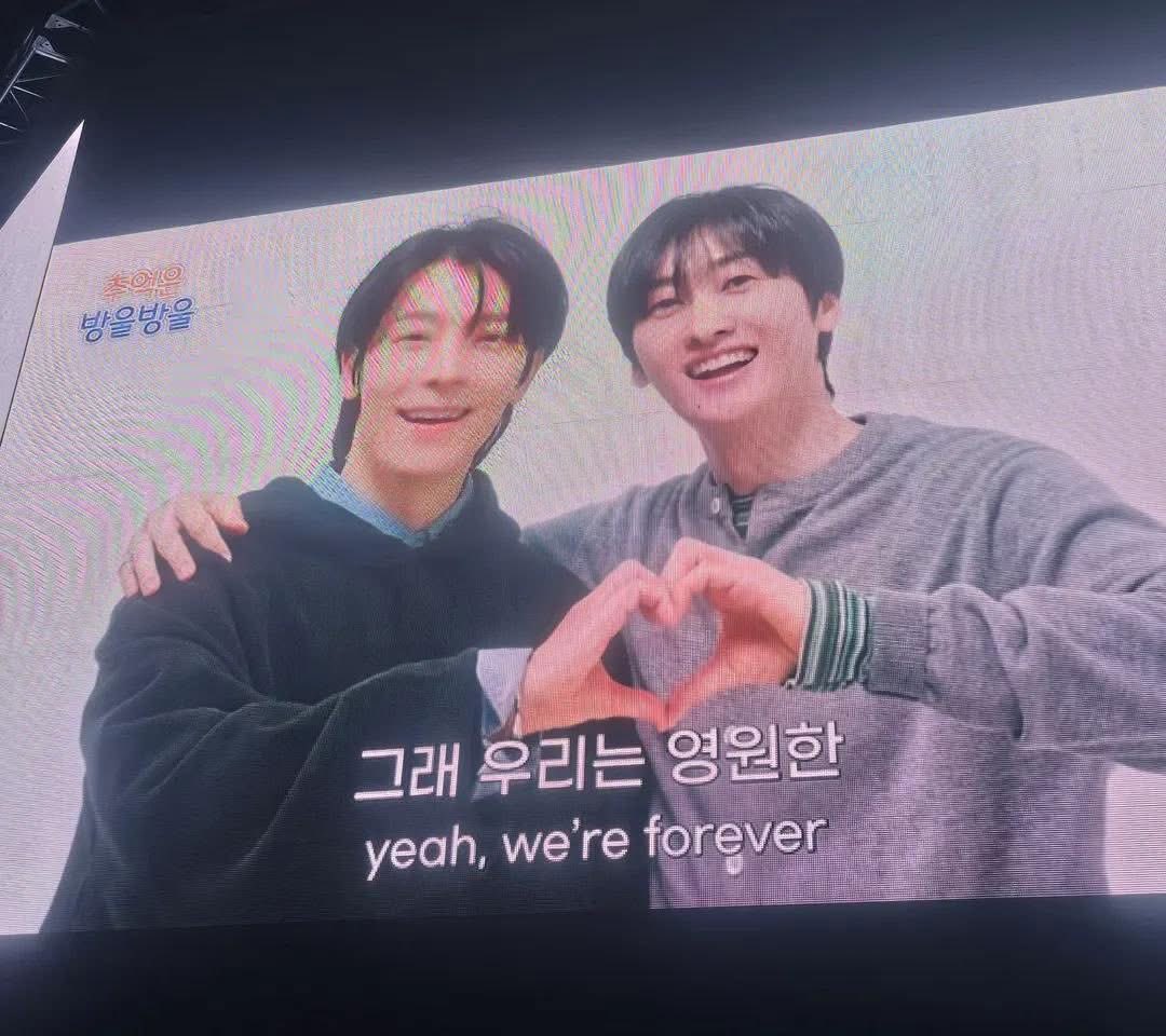 SooIn🍓 tweet media