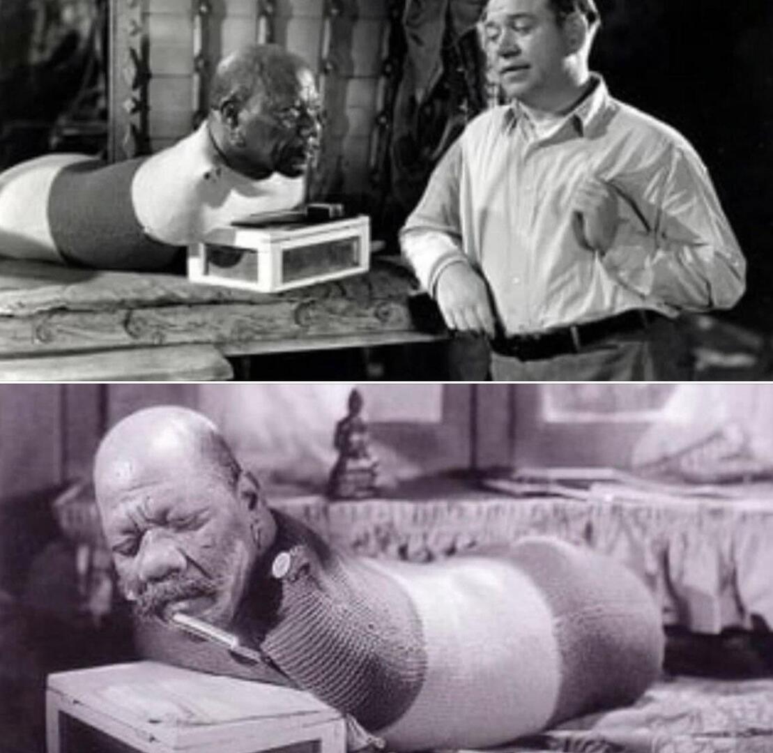 Historyland tweet media