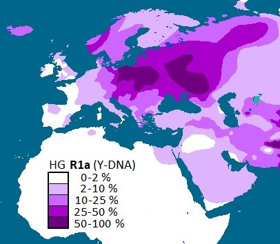 Hinterhof tweet media