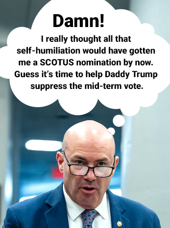 RadicalMovement tweet media