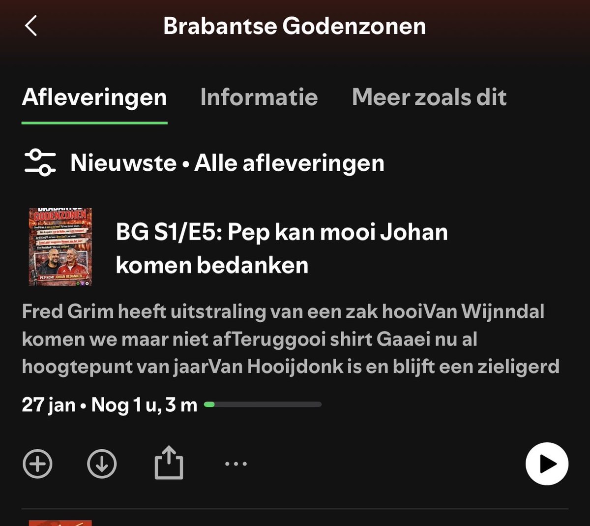 Brabantsegodenzonen tweet media