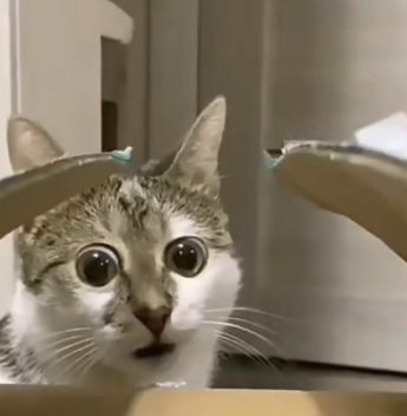 J 🌺💫 tweet media