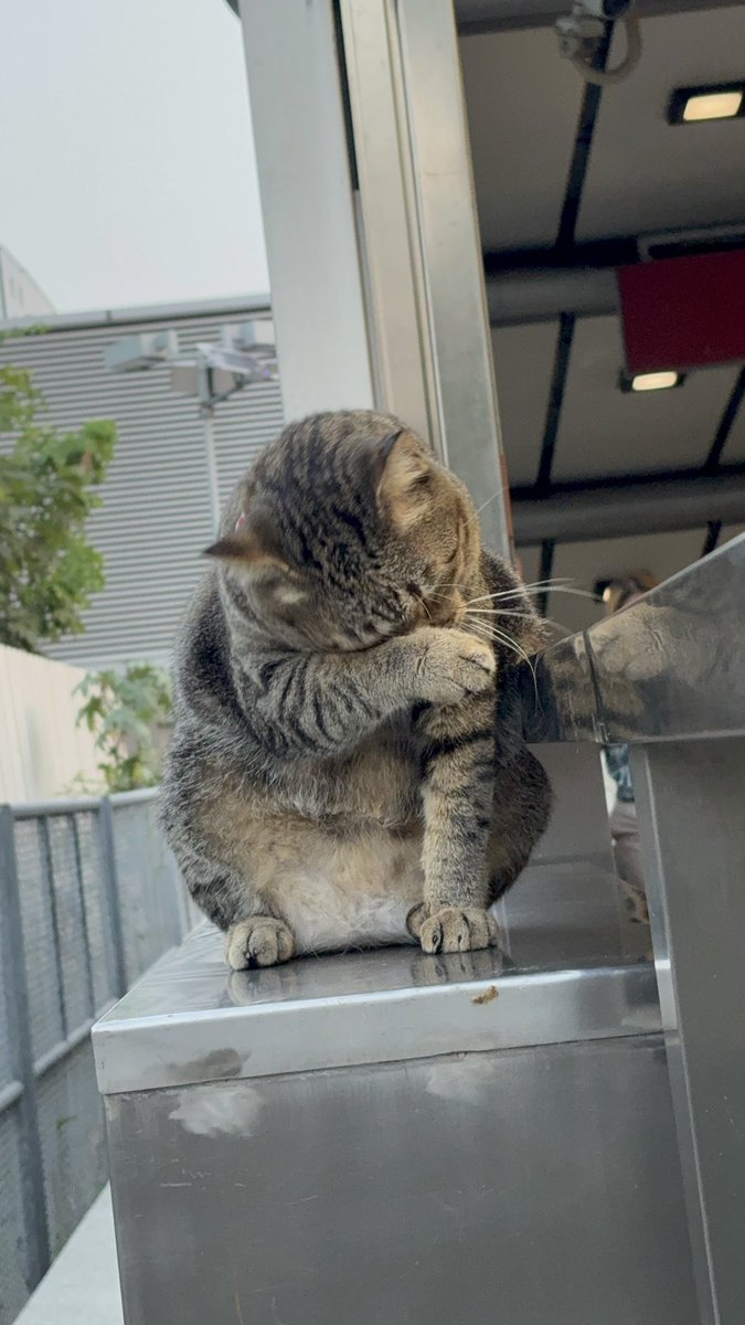 T h u r s d a y🪁 tweet media