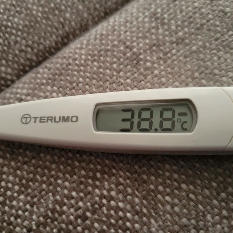 ねこきす tweet media