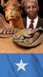 The equalizer tweet media