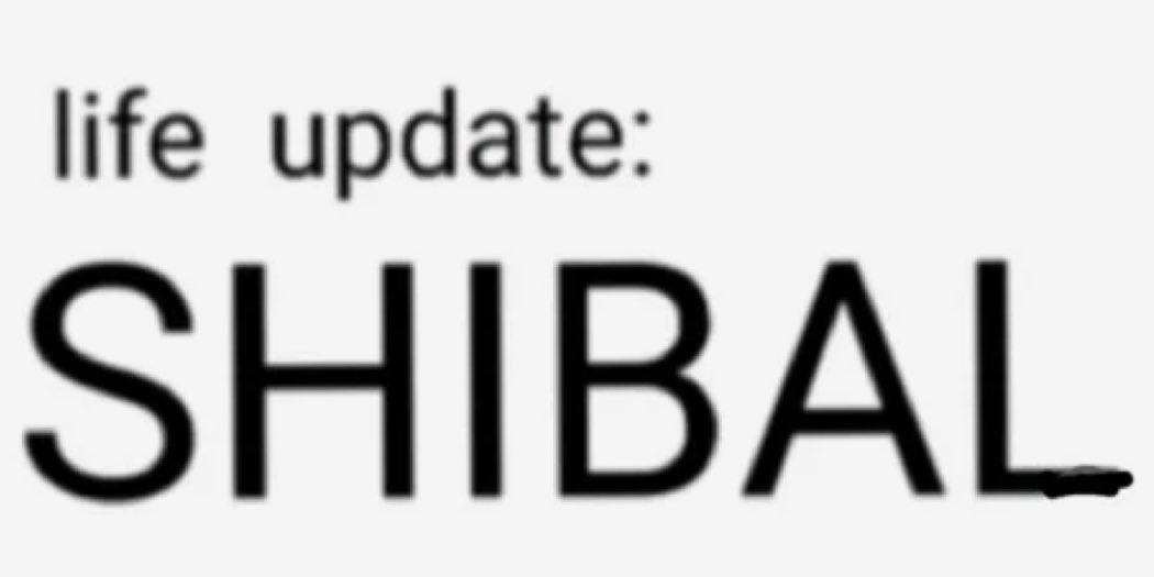 di ☆ dwy tweet media