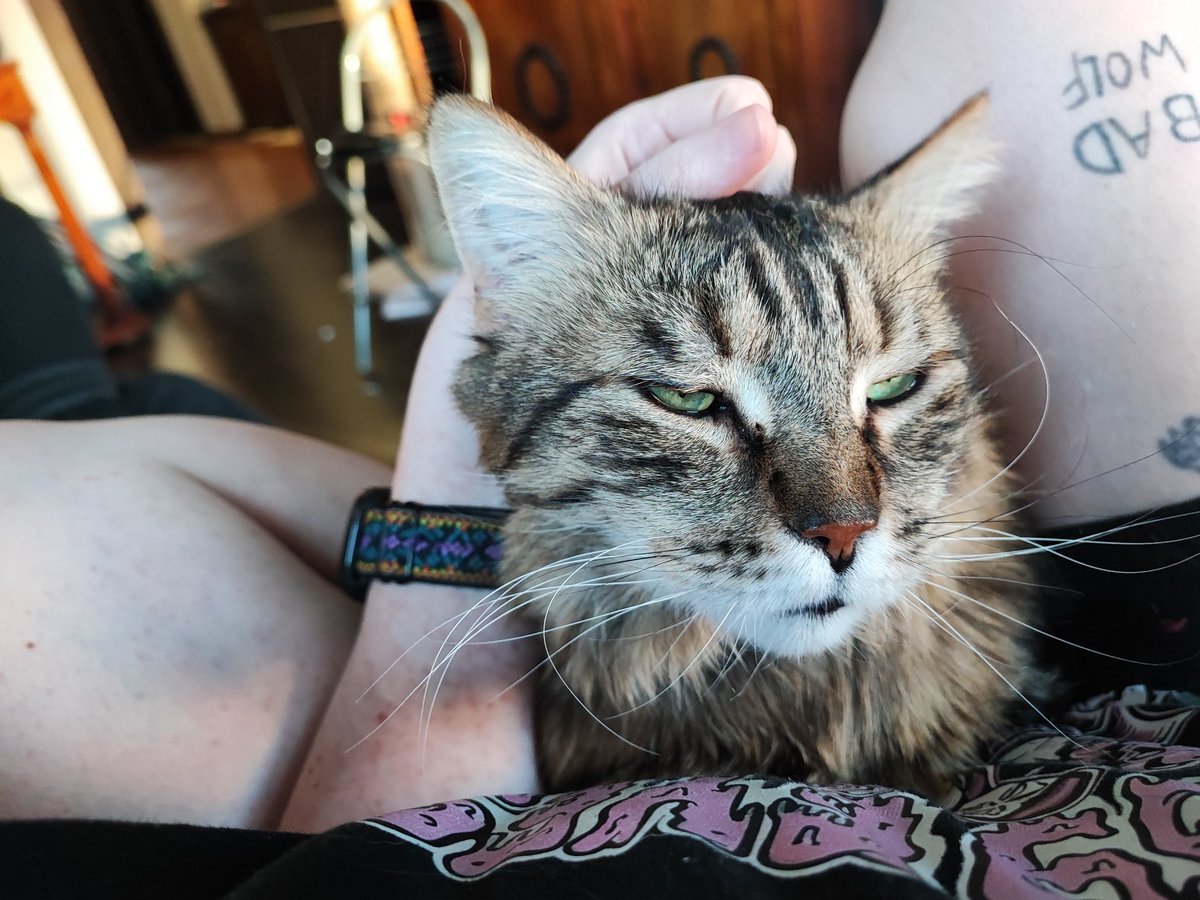 Лёшчка Китоглав tweet media