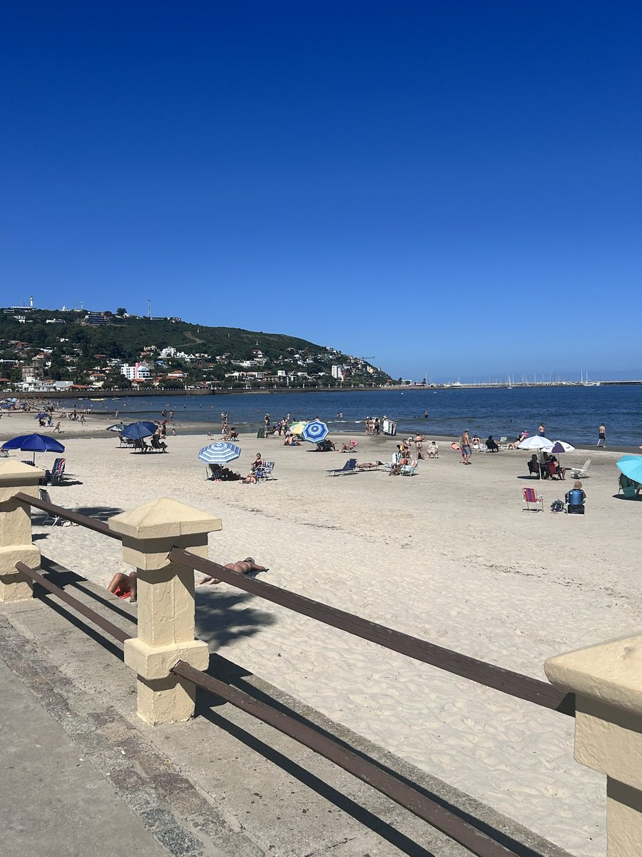 PekeSander's tweet image. El #TeamVerano no se va.