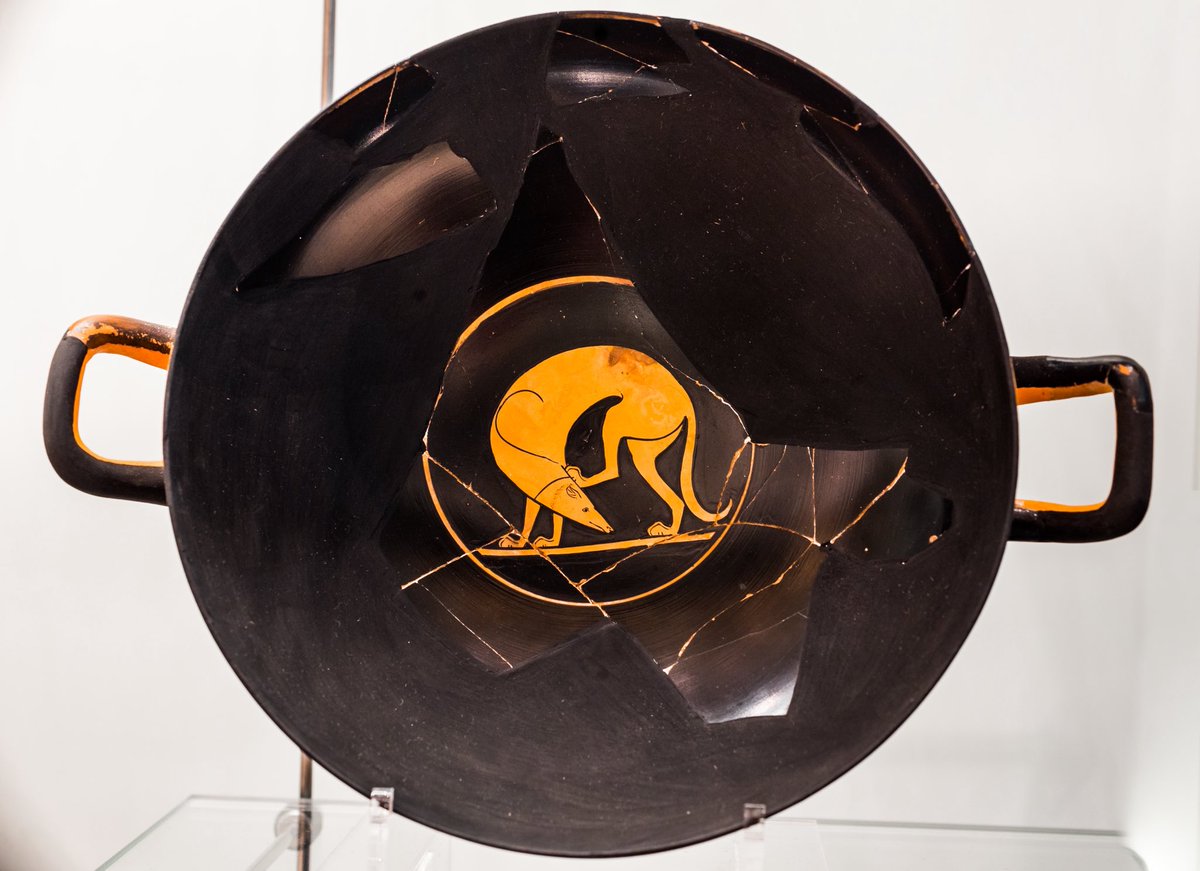 antifa🔻girlfriend tweet media