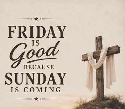 Mandy Sansbury🥎 tweet media