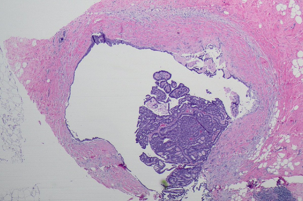 Masood Hassan tweet media