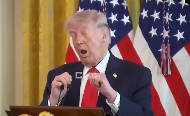 The These That Then This. tweet media