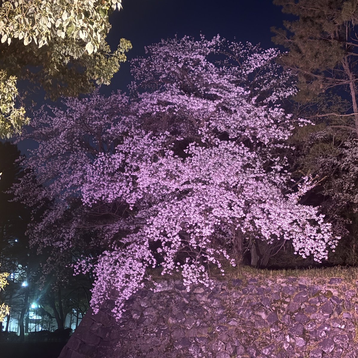 絵奈🍀energy tweet media