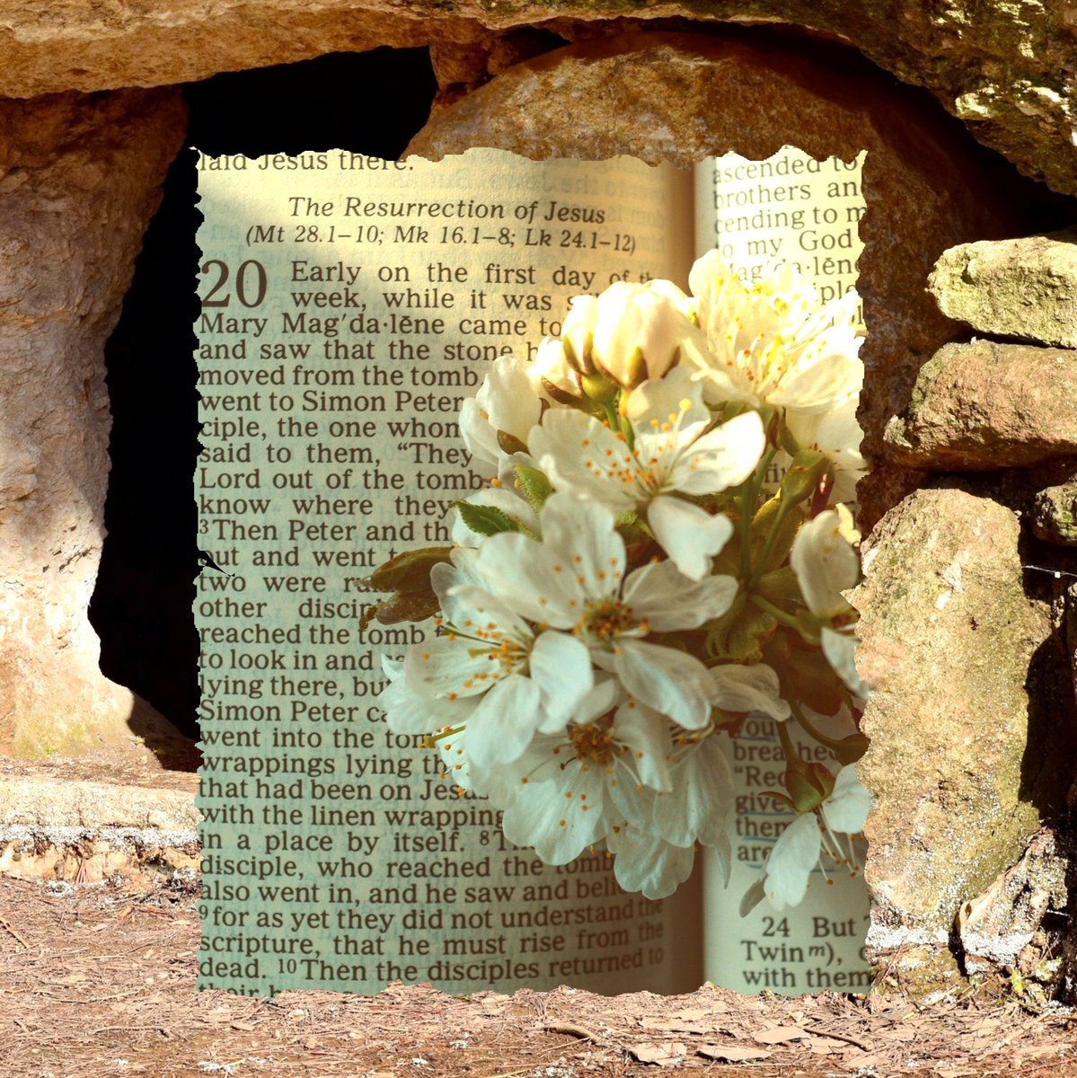 Freedom 95 tweet media