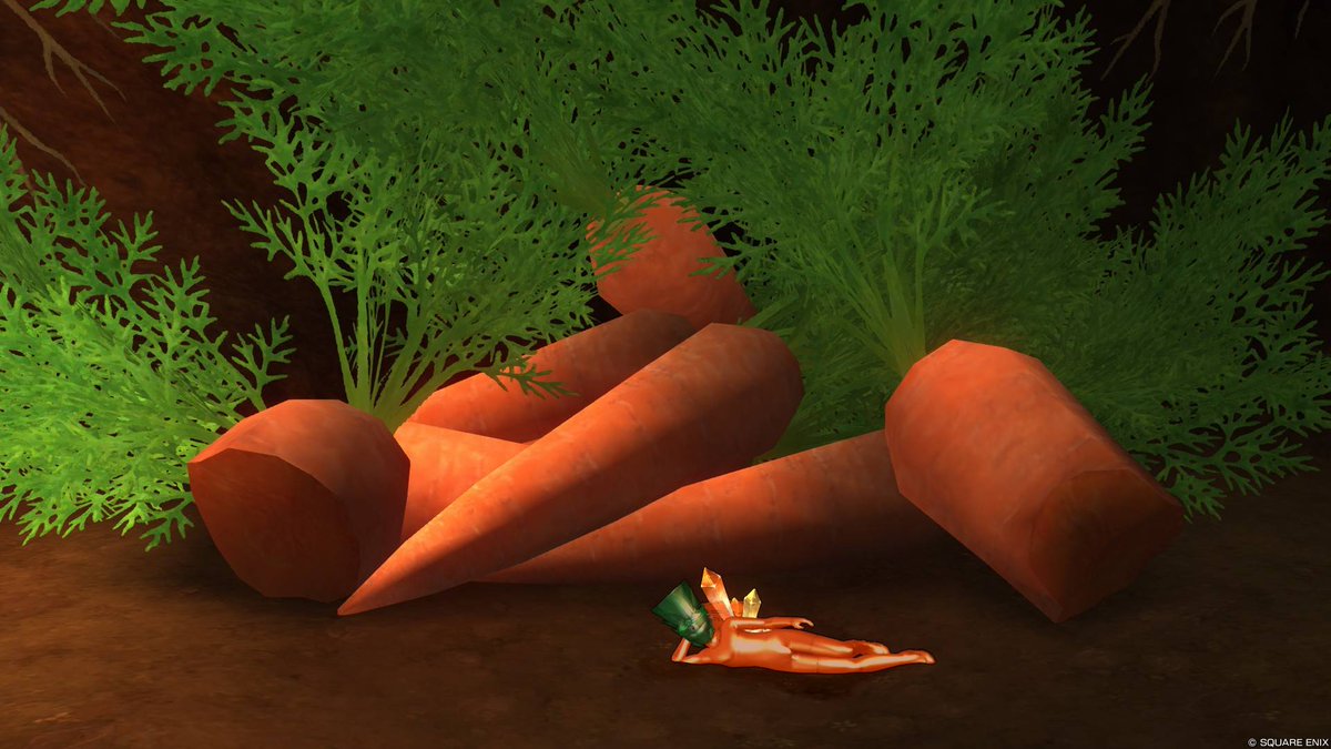 🐢カメキ～チ🐢X＠木・艶・変態の民＆もはやモヒカン tweet media