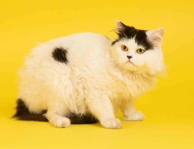 Whitney Clark tweet media