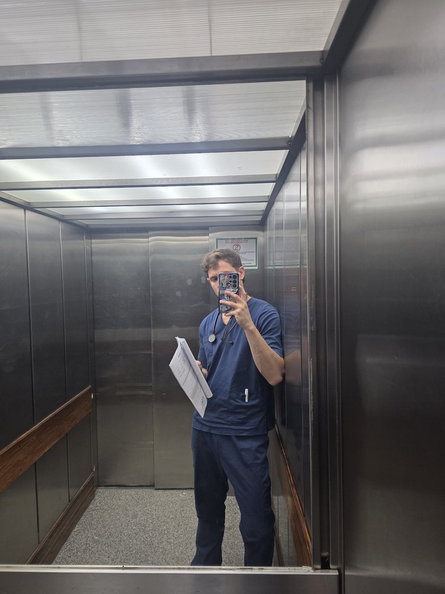 pelushh🦕 tweet media