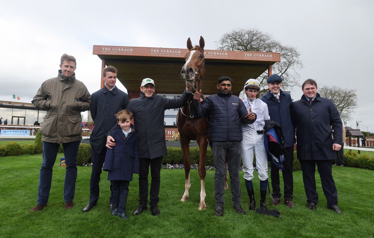 Irish Stallion Farms tweet media