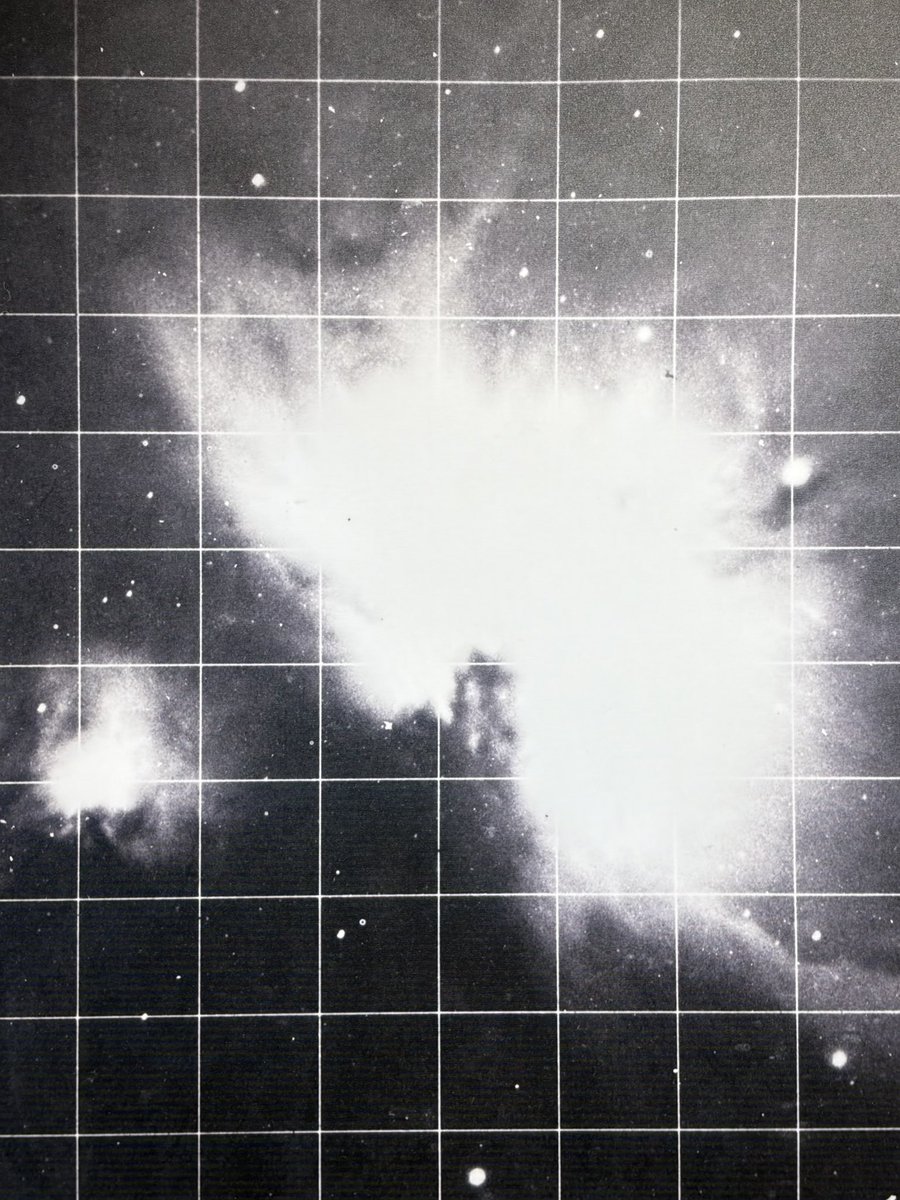 ✨ 坚强! tweet media