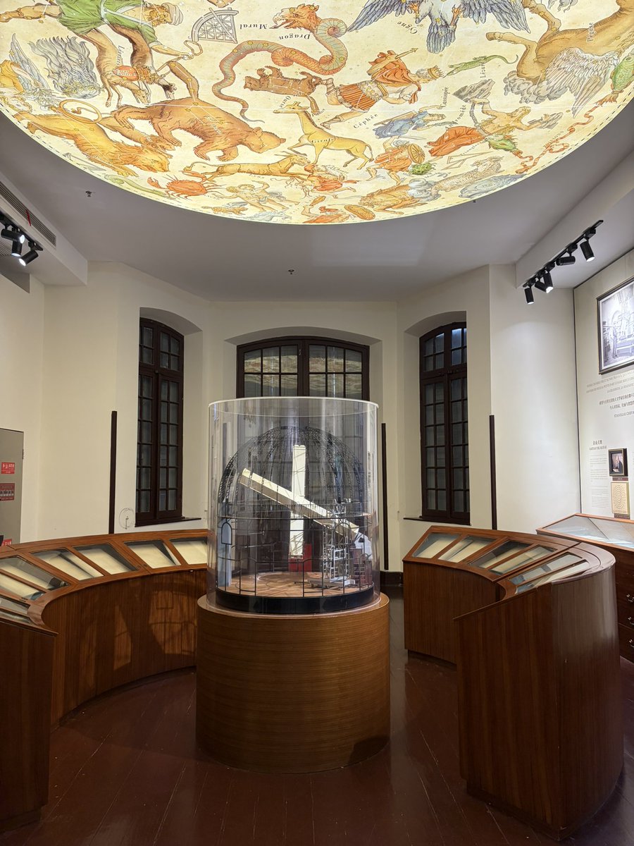 ✨ 坚强! tweet media