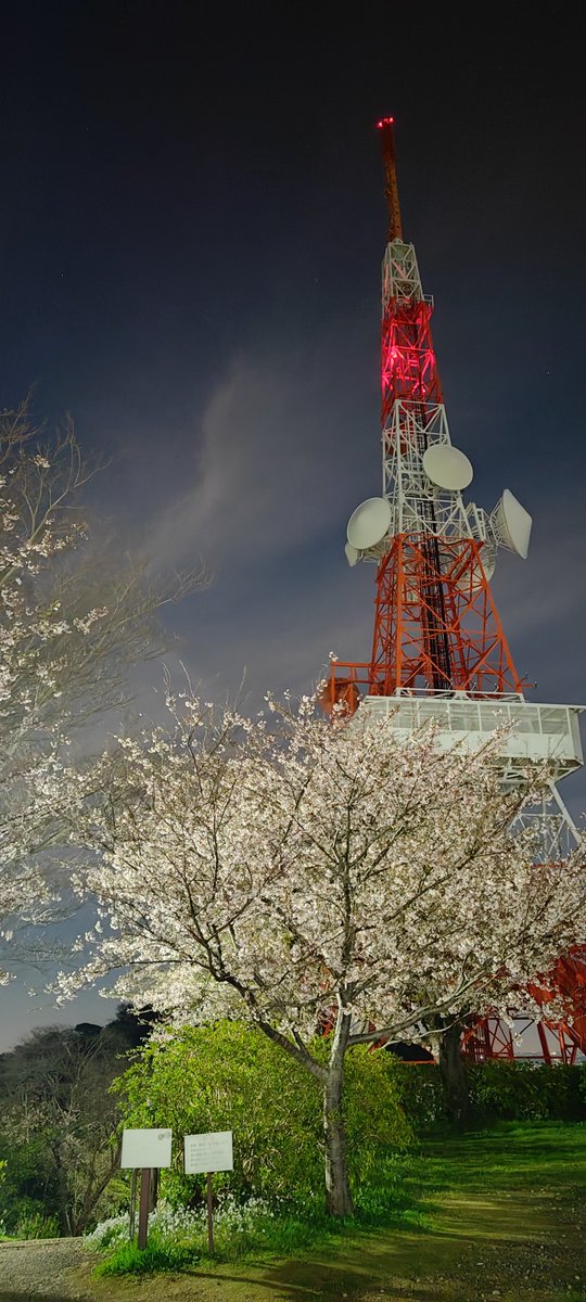 クロエ@FL1_CIVIC_RS_シビックRS tweet media