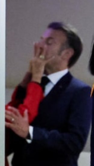 rando.73 tweet media