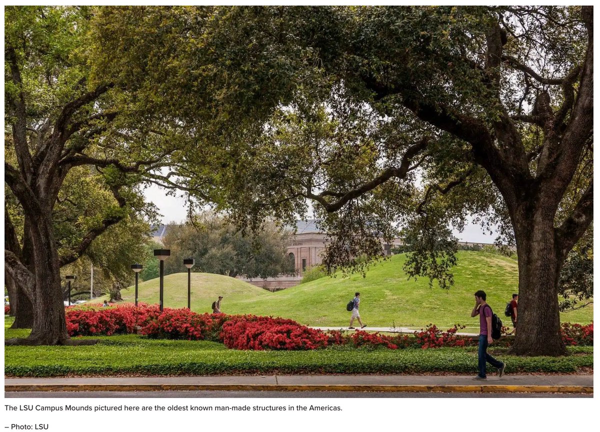 Gregory L Little, Ed.D. tweet media