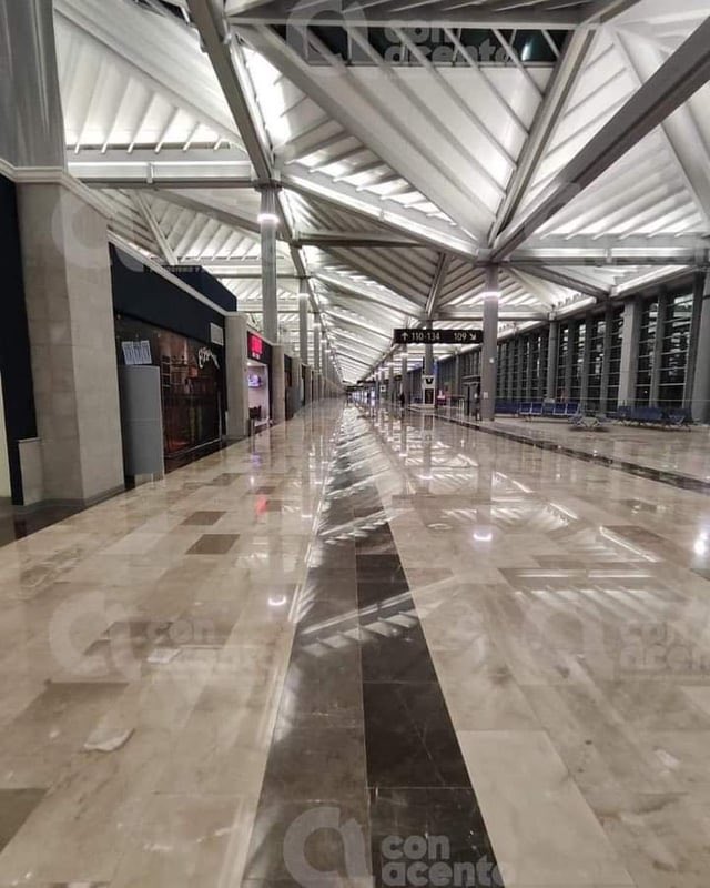 A L e 𝕏 tweet media