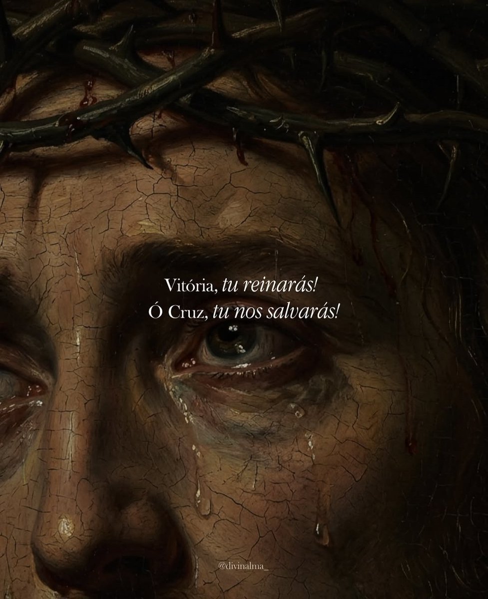 Aninha 🇻🇦❾¾ tweet media