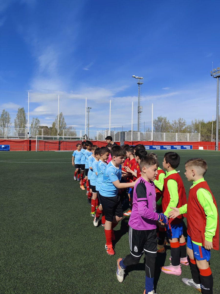 U.D. Montecarlo tweet media