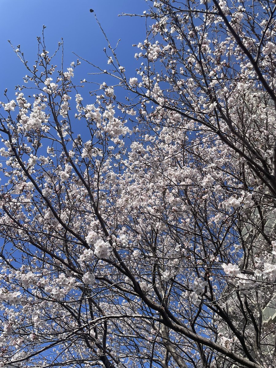 みわ^_^ tweet media