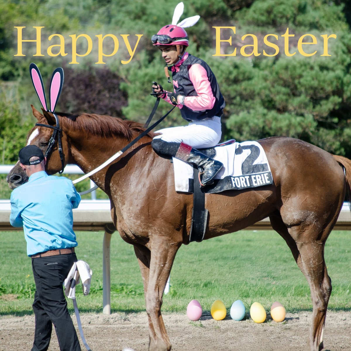 Fort Erie Race Track tweet media