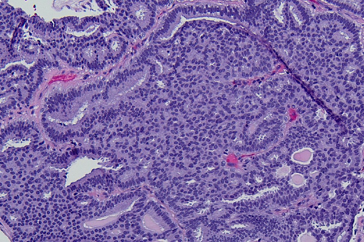 Masood Hassan tweet media