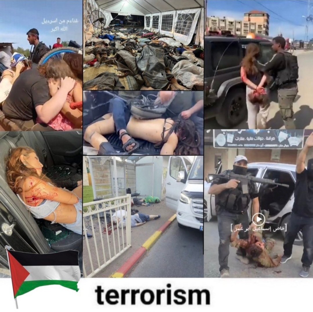 rando.73 tweet media